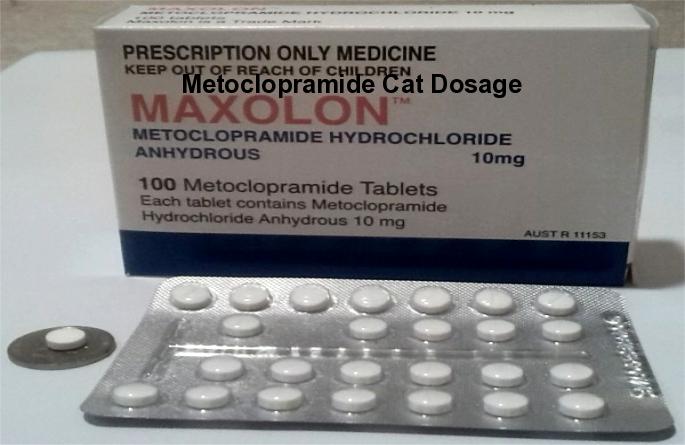 Metoclopramide (metoclopramide) 10 mg 60 amount of packaging